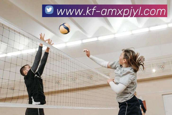 澳门新葡京娱乐全站App